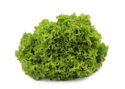 Салат романо 1 кг - купить в Беляково